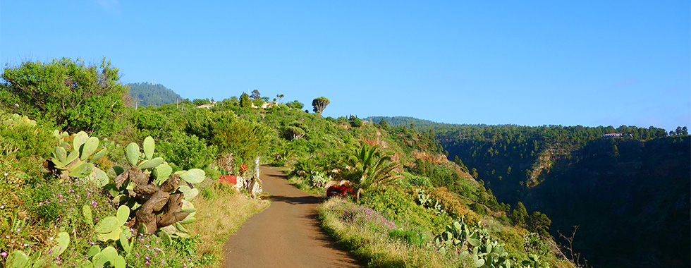 ITINERAIRES_980x380-02