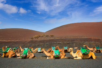 Lanzarote Lanzarote