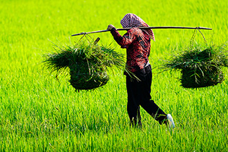 Vietnam Vietnam