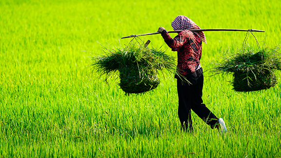 guide-vacances-vietnam-preparez-vos-vacances