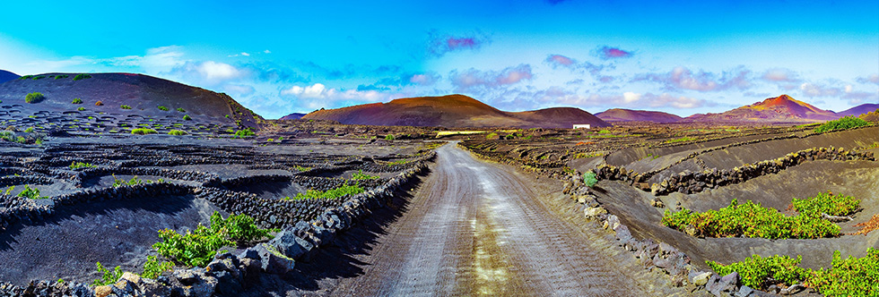 guide-vacances-lanzarote-route-des-vins