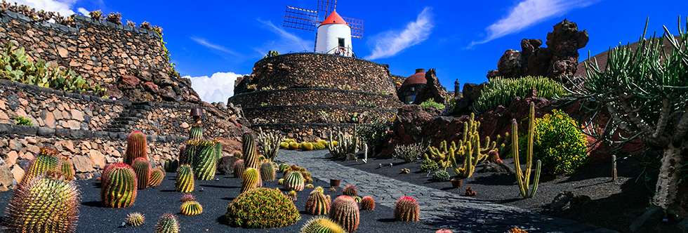 guide-vacances-lanzarote-entre-art-et-nature-cactus-garden
