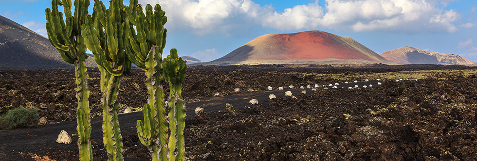guide-vacances-lanzarote-paysages-volcaniques-timanfaya