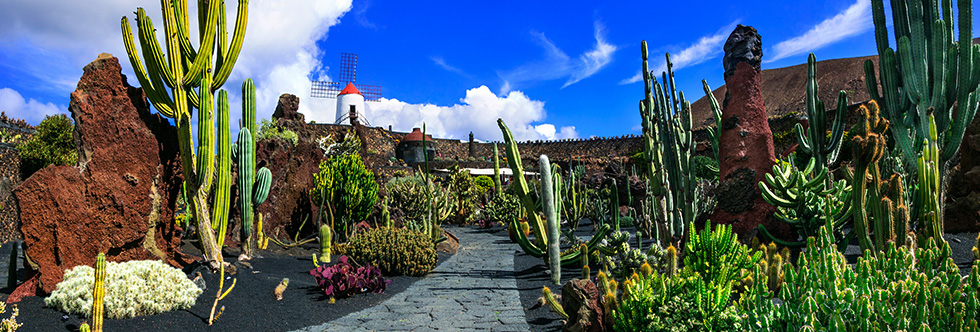 guide-vacances-lanzarote-cactus-garden