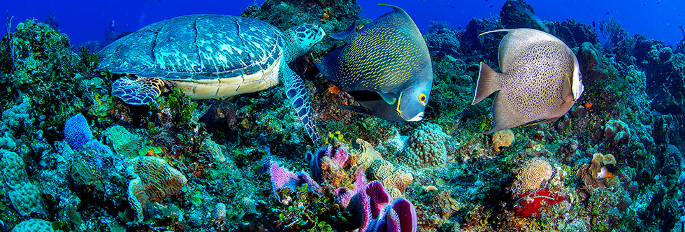 guide-vacances-mexique-nature