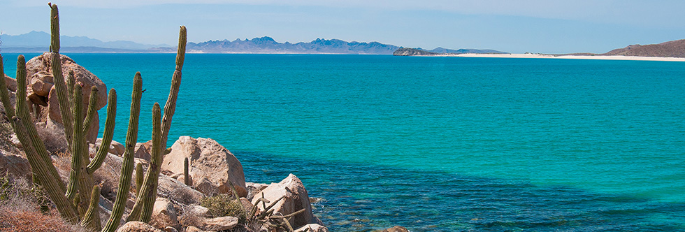 guide-vacances-mexique-espiritu-santo
