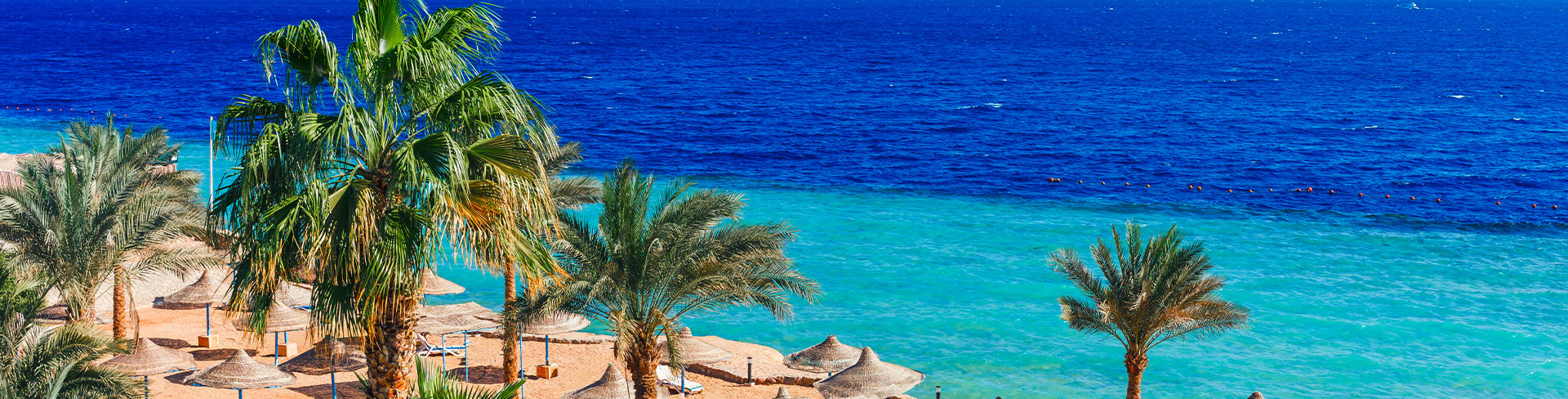 Egypte - Sharm El Sheikh