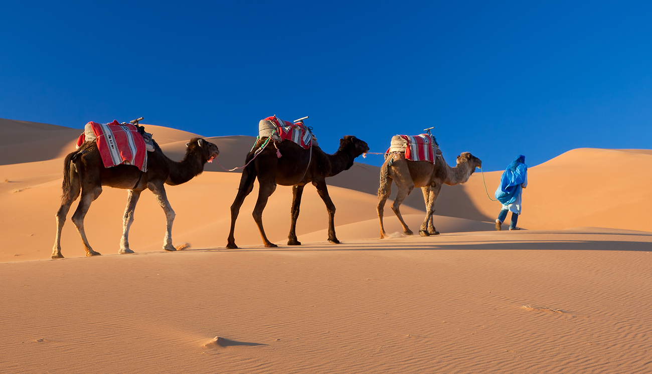 Destination Maroc