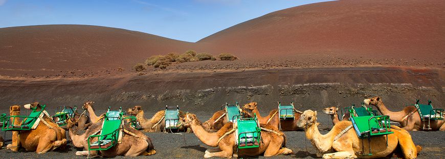 Destination Lanzarote