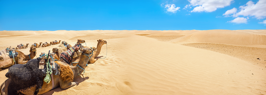 Destination Tunisie