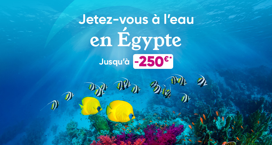 Bannière promotionnelle