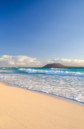 Canaries - Fuerteventura