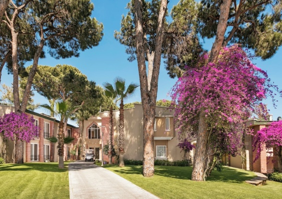Pine Beach Belek 5* Pine Beach Belek 5*