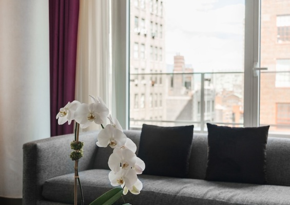 Hôtel Royalton Park Avenue 5* Hôtel Royalton Park Avenue 5*