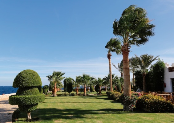 Hôtel Sharm Club Beach Resort 4* Hôtel Sharm Club Beach Resort 4*