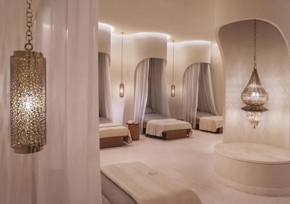 Hôtel Raffles The Palm 5* Hôtel Raffles The Palm 5*