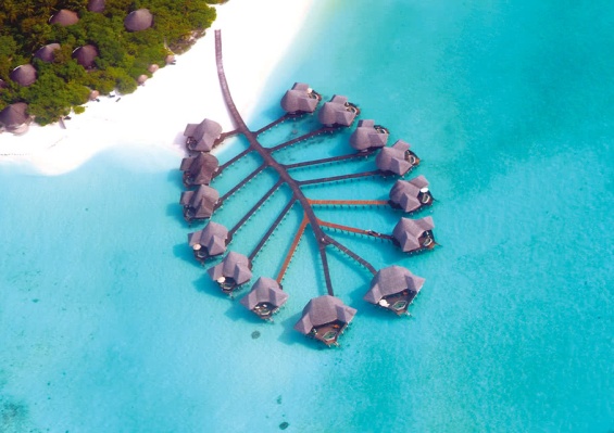 Hôtel Coco Palm Dhuni Kolhu 4* Hôtel Coco Palm Dhuni Kolhu 4*