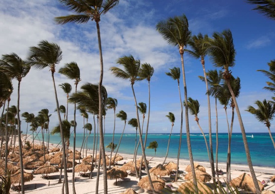 Hôtel Paradisus Palma Real 5* Hôtel Paradisus Palma Real 5*