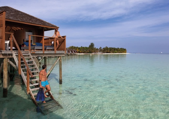 Hôtel Vilamendhoo Island Resort & Spa 4* Hôtel Vilamendhoo Island Resort & Spa 4*