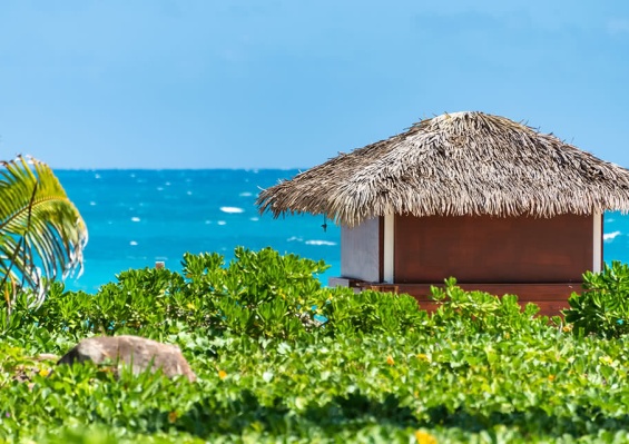 Hôtel Orient Beach 4* Hôtel Orient Beach 4*