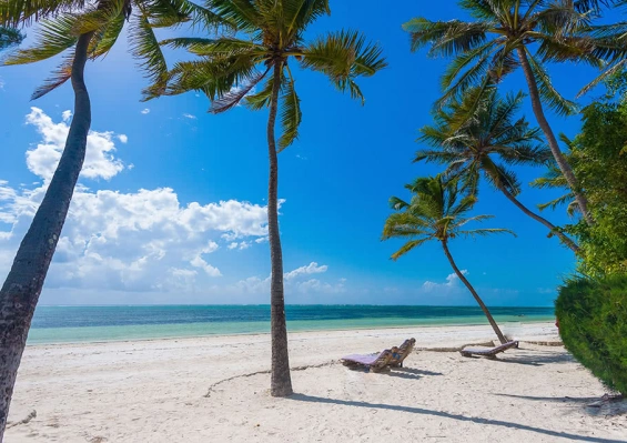 Hôtel Indigo Beach Zanzibar 4* Hôtel Indigo Beach Zanzibar 4* - photo 2