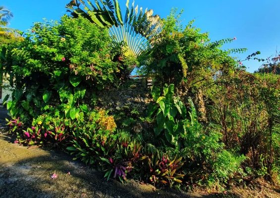 Villa Caraibes Villa Caraibes