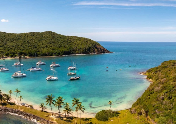 Croisière Grenadines Catlante C620 - Catégorie Premium Croisière Grenadines Catlante C620 - Catégorie Premium