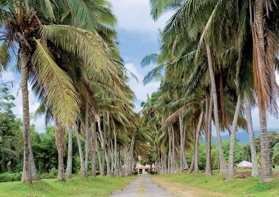 Hôtel & Spa Carayou 3* avec excursions incontournable Martinique incluses Hôtel & Spa Carayou 3* avec excursions incontournable Martinique incluses