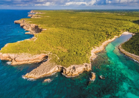 Hôtel Fleur d'Epée 3* & excursion incontournable Guadeloupe incluse Hôtel Fleur d'Epée 3* & excursion incontournable Guadeloupe incluse