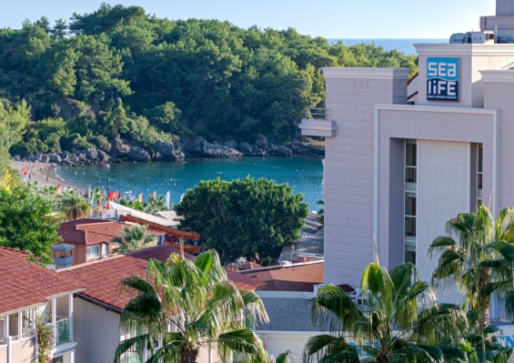 Hôtel Mondi Club Sealife Buket 5* Hôtel Mondi Club Sealife Buket 5*