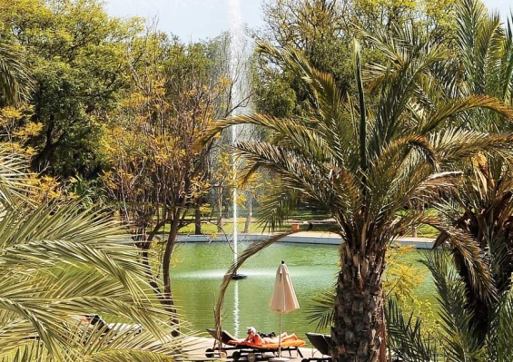 Hôtel Barcelo Palmeraie Oasis Resort 5* Hôtel Barcelo Palmeraie Oasis Resort 5*