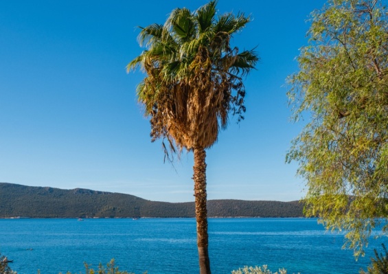 Hôtel Bodrum Holiday Resort & Spa 5* Hôtel Bodrum Holiday Resort & Spa 5*