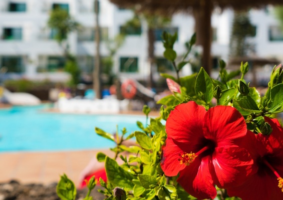 Hôtel Mondi Club Galeon Playa 3* Hôtel Mondi Club Galeon Playa 3*