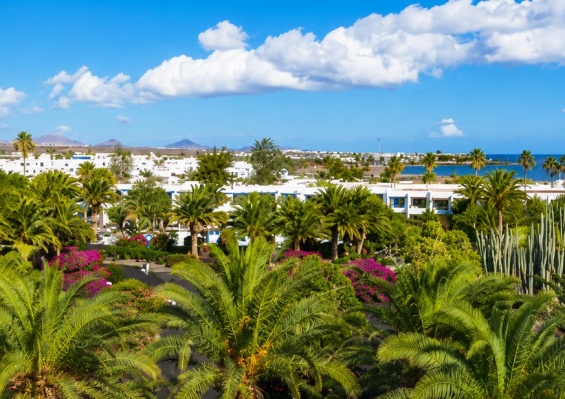 Hôtel Mondi Club Relaxia Olivina 4* Hôtel Mondi Club Relaxia Olivina 4*