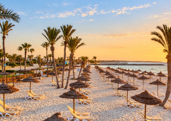 Hôtel Mondi Club Seabel Aladin 3* Sup Hôtel Mondi Club Seabel Aladin 3* Sup - photo 2