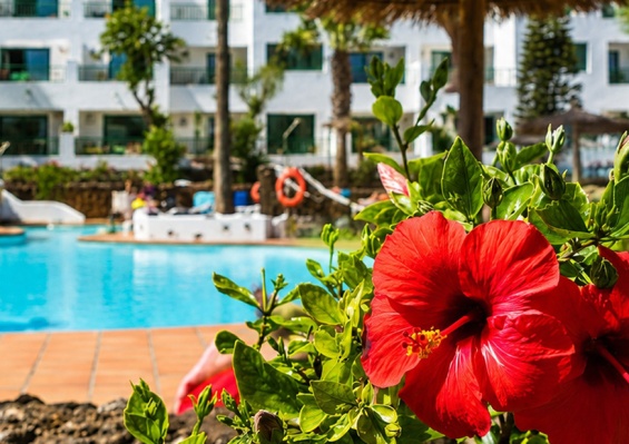 Hôtel Mondi Club Galeon Playa 3* Hôtel Mondi Club Galeon Playa 3*