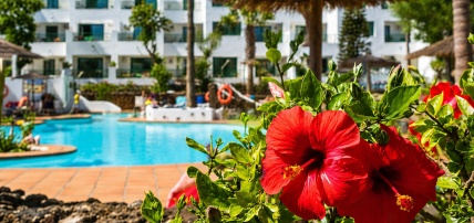 Hôtel Mondi Club Galeon Playa 3*, Séjour Espagne & ses îles, Canaries, Lanzarote par Ôvoyages Hôtel Mondi Club Galeon Playa 3*, Séjour Espagne & ses îles, Canaries, Lanzarote par Ôvoyages