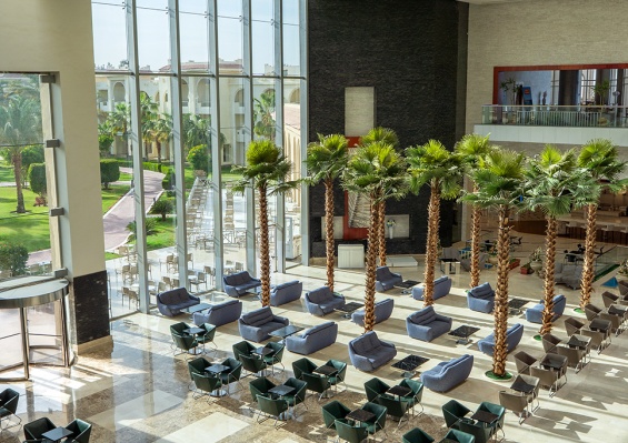Hôtel Serenity Alma Heights 5* Hôtel Serenity Alma Heights 5*