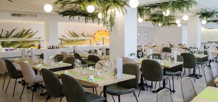 BQ Paguera Boutique 4* Adult Only + 16, Séjour Espagne & ses îles, Canaries, La Palma par Ôvoyages BQ Paguera Boutique 4* Adult Only + 16, Séjour Espagne & ses îles, Canaries, La Palma par Ôvoyages