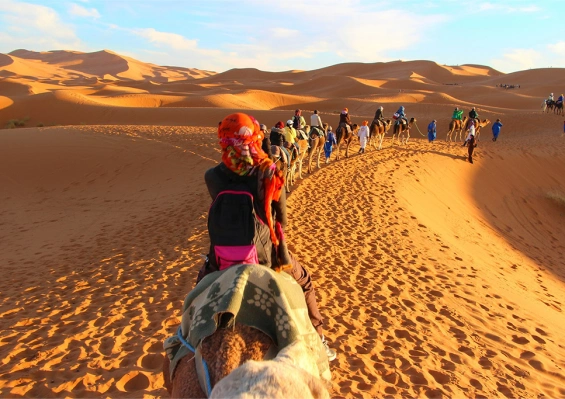 Circuit Marrakech & Désert de Merzouga by Ôvoyages Circuit Marrakech & Désert de Merzouga by Ôvoyages