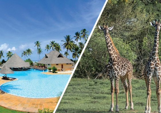 Combiné Neptune Pwani Beach Resort & Spa 5* & Safari 2 nuits dans la réserve de Selous en avion Combiné Neptune Pwani Beach Resort & Spa 5* & Safari 2 nuits dans la réserve de Selous en avion