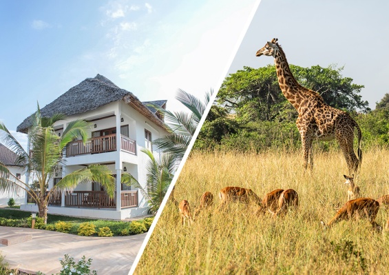 Hôtel Zanzibar Bahari Villas 4* + Safari 1 nuit Hôtel Zanzibar Bahari Villas 4* + Safari 1 nuit