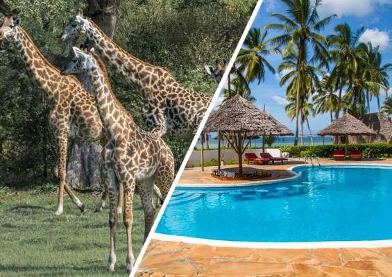 Hôtel Antonio Beach Tree House & Spa 4* + Safari 1 nuit Hôtel Antonio Beach Tree House & Spa 4* + Safari 1 nuit