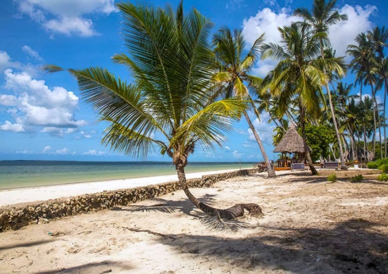 Hôtel Antonio Beach Tree House & Spa 4* + Safari 1 nuit Hôtel Antonio Beach Tree House & Spa 4* + Safari 1 nuit