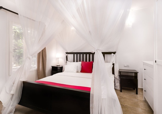Hôtel White Paradise 4* + Safari 2 nuits Hôtel White Paradise 4* + Safari 2 nuits