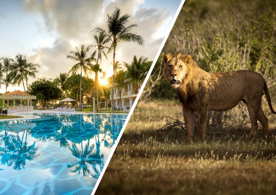 Ôcombiné - Ôclub Diamonds Malindi 5* & safari 2 nuits Tsavo Ôcombiné - Ôclub Diamonds Malindi 5* & safari 2 nuits Tsavo - photo 1