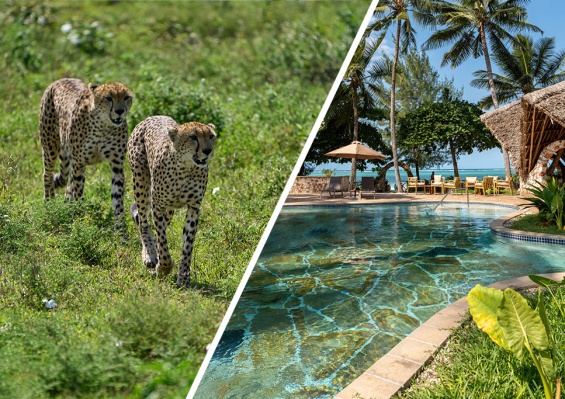 Combiné Palumbo Mnemba View 4* Sup + Safari 2 nuits Combiné Palumbo Mnemba View 4* Sup + Safari 2 nuits - photo 1