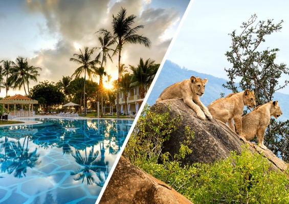 Ôcombiné - Ôclub Diamonds Malindi 5* & safari 2 nuits Kudu Camp Ôcombiné - Ôclub Diamonds Malindi 5* & safari 2 nuits Kudu Camp - photo 1