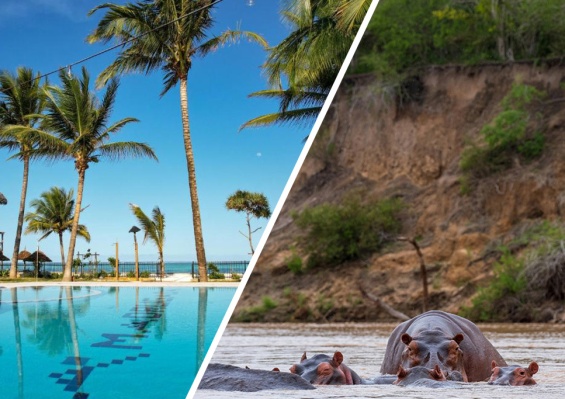 Combiné Ôclub Experience Nest Style Beach Hotel 4* & Safari 1 nuit dans la réserve de Selous en avion Combiné Ôclub Experience Nest Style Beach Hotel 4* & Safari 1 nuit dans la réserve de Selous en avion - photo 1