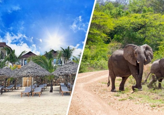 Combiné Ôclub Zen Sansi Kendwa Beach Resort 4* & Safari 2 nuits en avion Combiné Ôclub Zen Sansi Kendwa Beach Resort 4* & Safari 2 nuits en avion